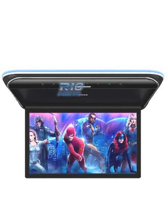 SCHERMO FULL HD PER TETTO DA 19,5"