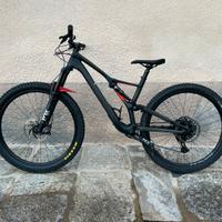 Specialized Stumpjumper Comp Carbon 2020