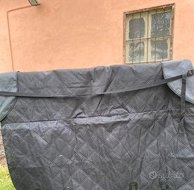 N.2 teli macchina per cane