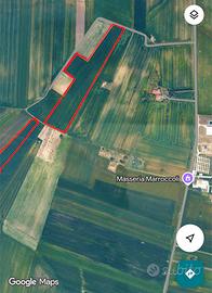 Terreno agricolo edificabile 4,8 ettari