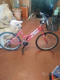 Bicicletta