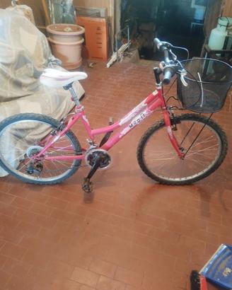 Bicicletta