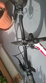 MountainBike Specialized