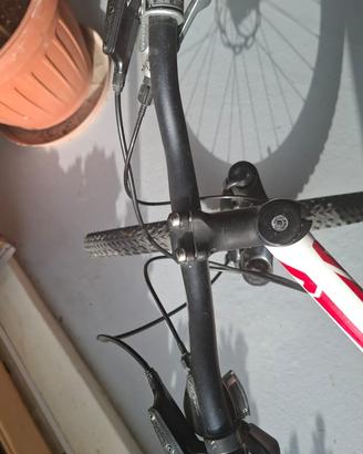 MountainBike Specialized