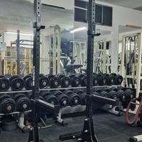 Rack Bear Fitness palestra