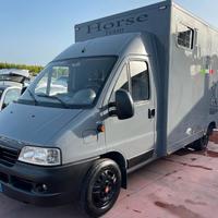 FIAT DUCATO 2.2 DIESEL 110CV TRASPORTO CAVALLI