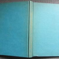 Il vero pilota da corsa