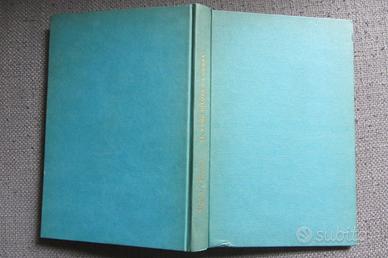 Il vero pilota da corsa