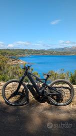 Whistle FULL M   b-rush C-5.2 e-bike