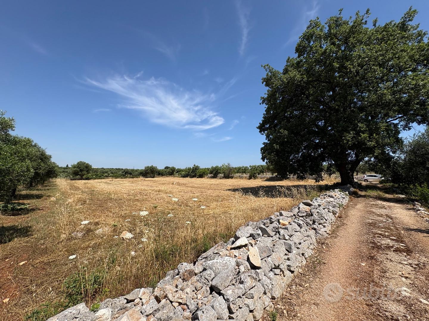 Terreno agricolo - Vista 3