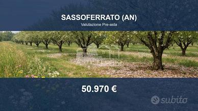 Immobile in asta di 72866 m² a Sassoferrato