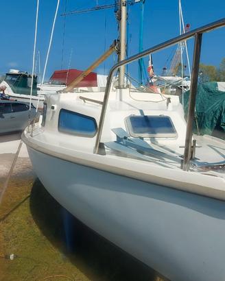 Sea Wich Sloop 19