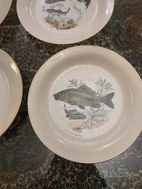 Set piatti pesce