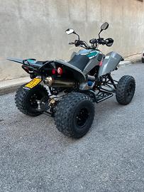 QUAD 490 ACCESS  2025