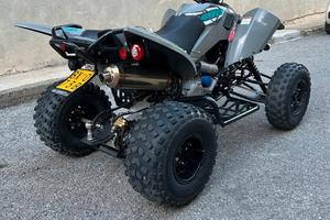 QUAD 490 ACCESS  2025