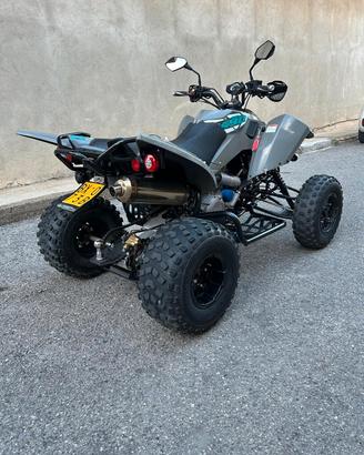QUAD 490 ACCESS  2025