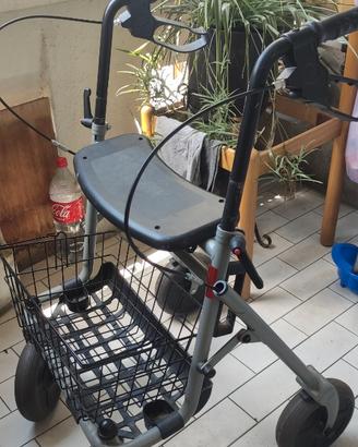 Carrello Deambulatore