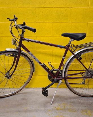City bike da uomo