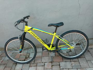 Mountain Bike ruote 26"