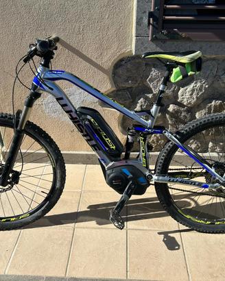 Bicicletta elettrica whistle brush