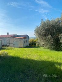La Landrigga Tenuta agricola immersa nel verde
