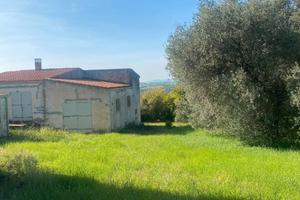 La Landrigga Tenuta agricola immersa nel verde