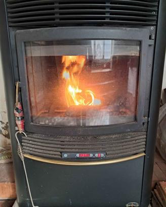 Stufa a pellet nordica ecologica