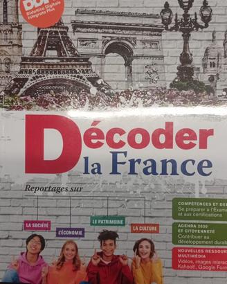 Décoder la France 9788829863655