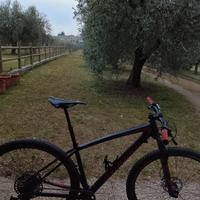 Mountain bike specialized
