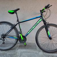 Mountain Bike da uomo