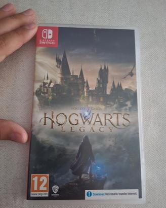 gioco della nientendo switch 1 