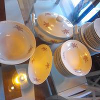 elegante servizio di piatti da 12