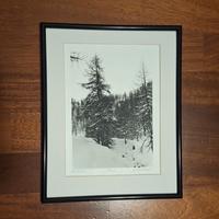 Stampa fotografica analogica in bianco e nero