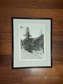 Stampa fotografica analogica in bianco e nero