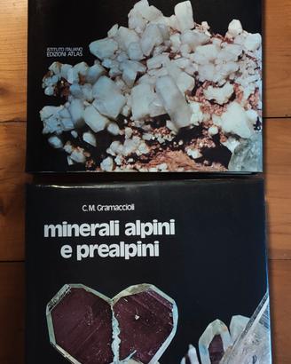 minerali alpini e prealpini Gramaccioli