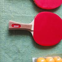 racchette da ping pong 