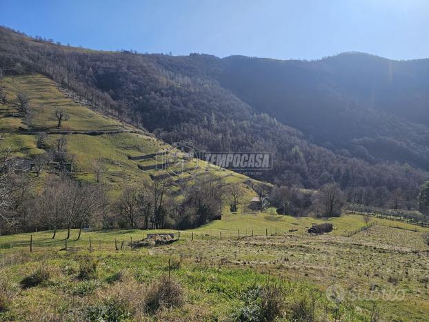 TERRENO AGRICOLO CON VISTA PANORAMICA