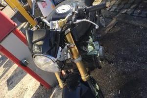 Hornet incidentata 05