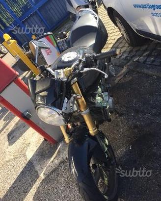 Hornet incidentata 05