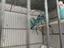 Immagine 2