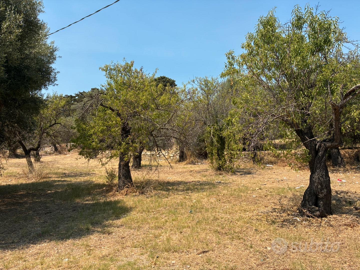 Terreno agricolo in contrada Chiusa di Carlo - Altro