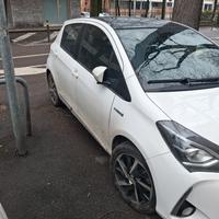 yaris  hibrid  Business