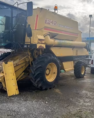 Mietitrebbia New Holland TF42