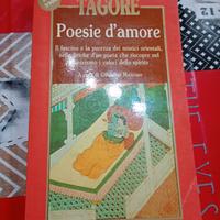 libro di poesia 