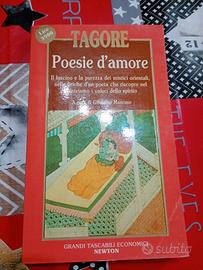 libro di poesia 