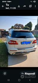  ML BLUTEC SPORT 250