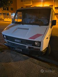 iveco daily diesel