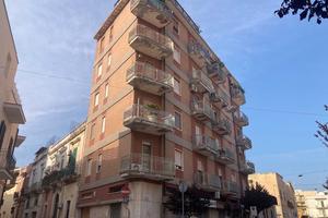 Negozio Brindisi [SG367VCG]