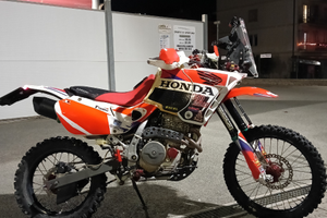 Honda Dominator Rally