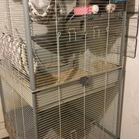 Gabbia ferplast furet tower
